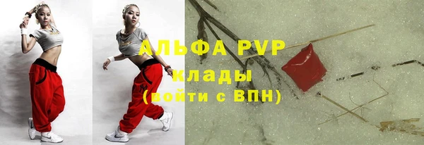 дмт Белокуриха