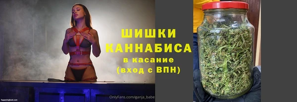 дмт Белокуриха