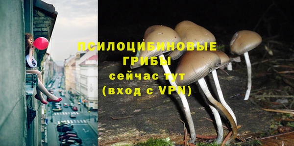 MDMA Premium VHQ Беломорск