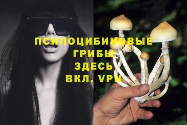 дмт Белокуриха