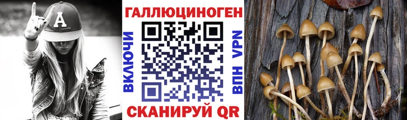 дарк нет клад  MEGA онион  Сланцы  Псилоцибиновые грибы ЛСД 