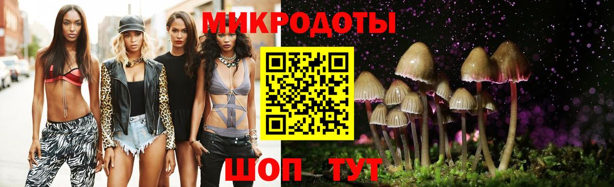 Галлюциногенные грибы мухоморы Сланцы