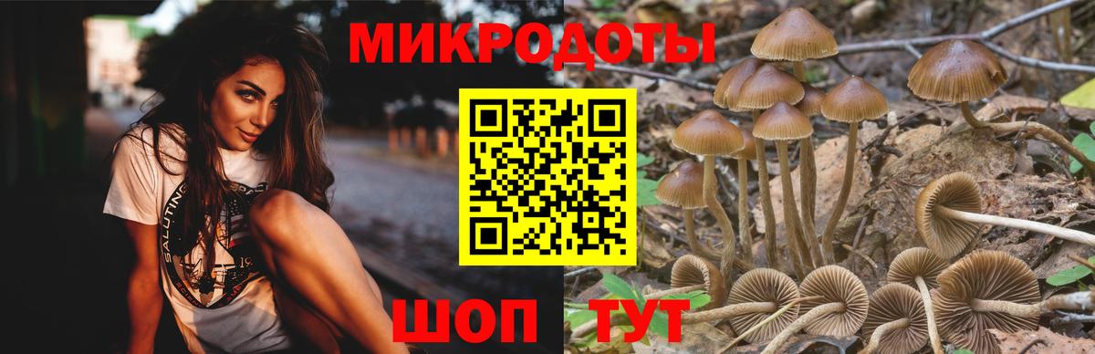 Сланцы  Галлюциногенные грибы Cubensis  Вход с VPN  Псилоцибиновые грибы мухоморы 